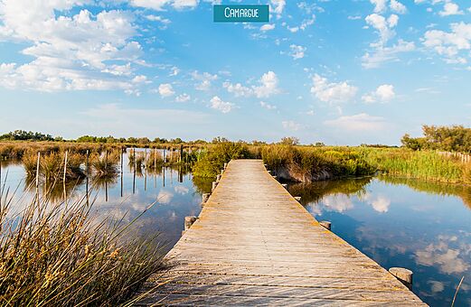 Holzsteg in den S�mpfen der Camargue, ein Ausflugsziel nahe Vauvert (30).
