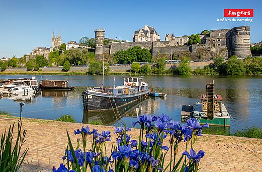 Ch�teau d'Angers et cath�drale Saint-Maurice au bord de la Maine, ville � visiter.