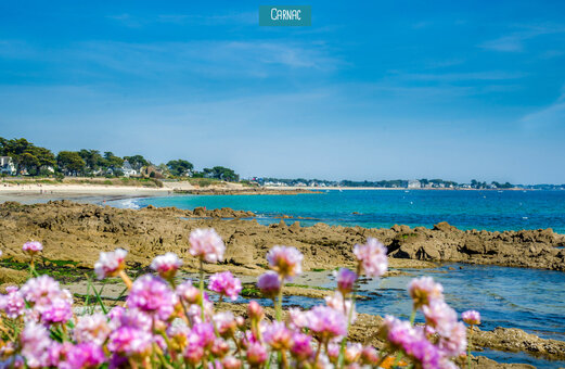 Plage de sable fin et côte rocheuse à Carnac, Morbihan, Bretagne.
