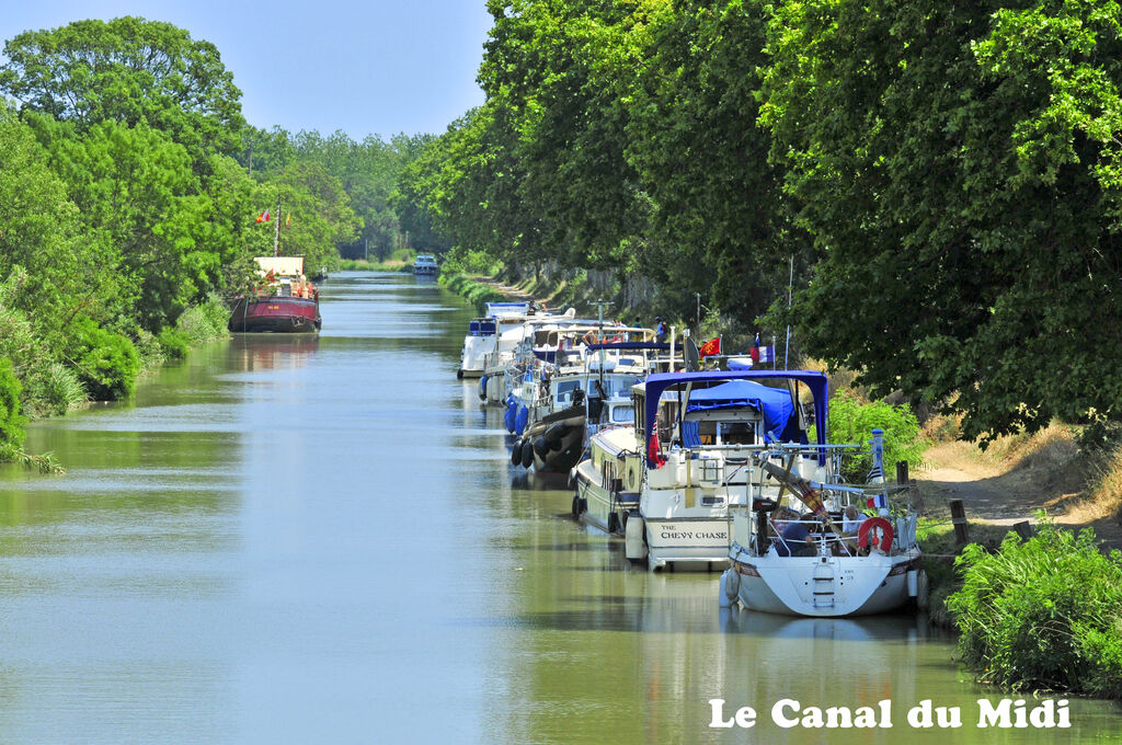 L'or, Holiday Park Languedoc Roussillon - 30