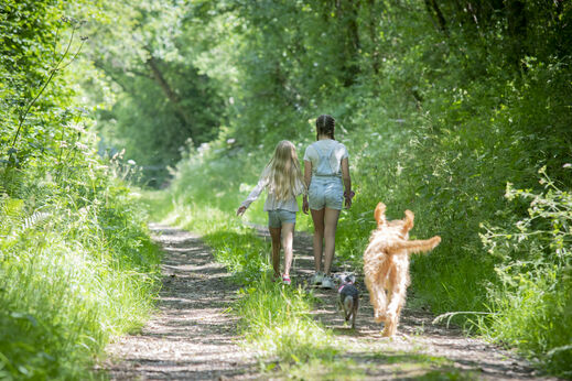 Gr�ner Naturpfad f�r Spazierg�nge auf dem Campingplatz CAPFUN UK Otter Falls in Upottery Nr Honiton.