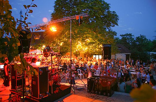 Muziekshow 's avonds op camping VAGUES OCEANES Paille Basse in Souillac.