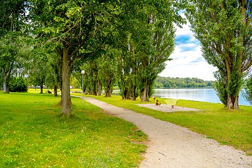 Natuur, speeltuin op camping CAPFUN Palais de Gaufrette in R�mering les Puttelange (57).