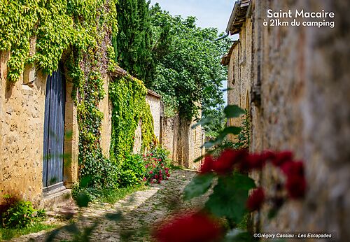 Historische Kopfsteinpflasterstra�e und bl�hende H�user in Saint Macaire, Gironde.