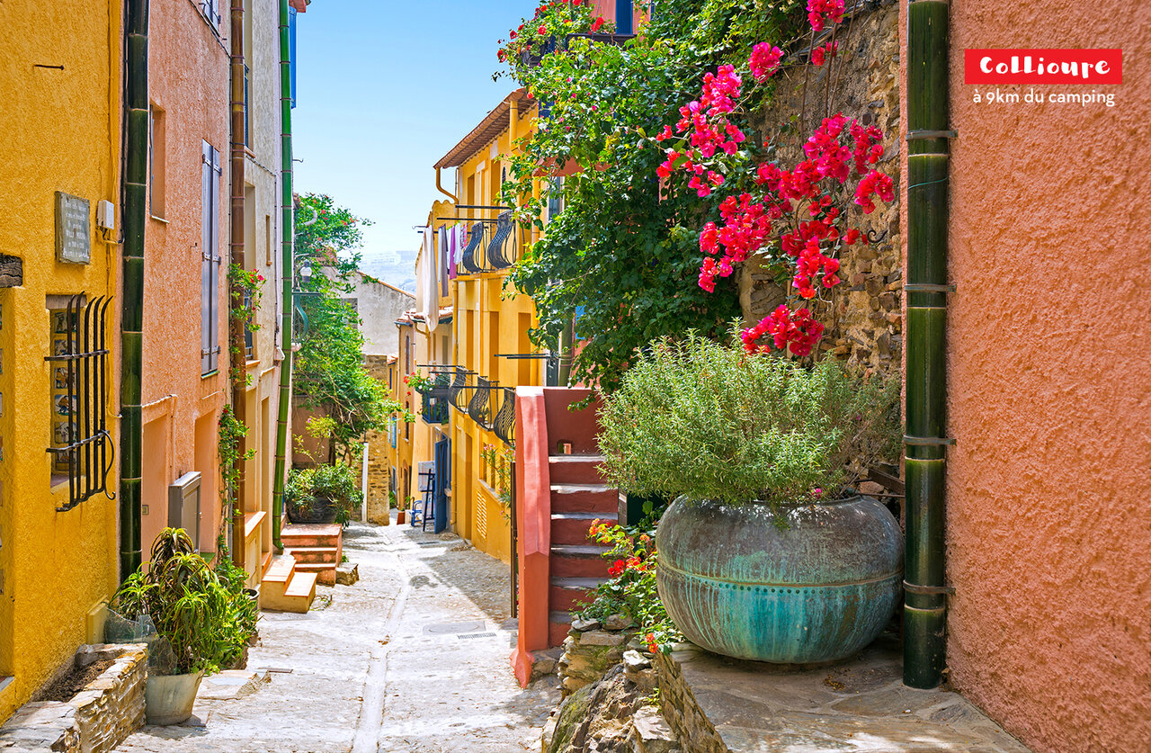 Colorful, flowery street in Collioure, a charming town to visit near the campsite.