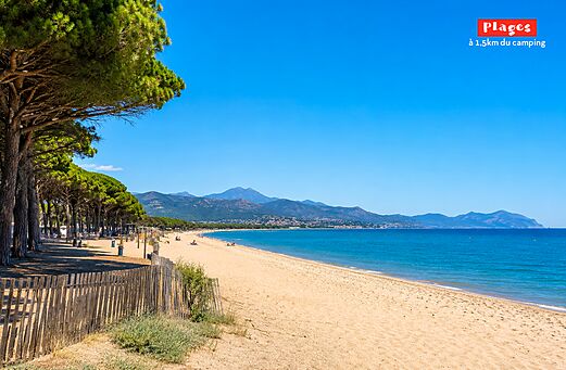 Zandstrand en pijnbomen op camping CAPFUN Paris Roussillon in ARGELES SUR MER (66).