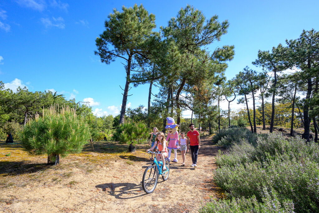 Petit Bec, Campingplatz Pays de la Loire - 14