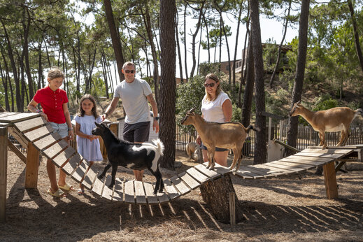 Familie und Kinder streicheln Ziegen auf dem Streichelzoo des Campingplatzes CLICOCHIC Petit Bec in St Hilaire de Riez (85).