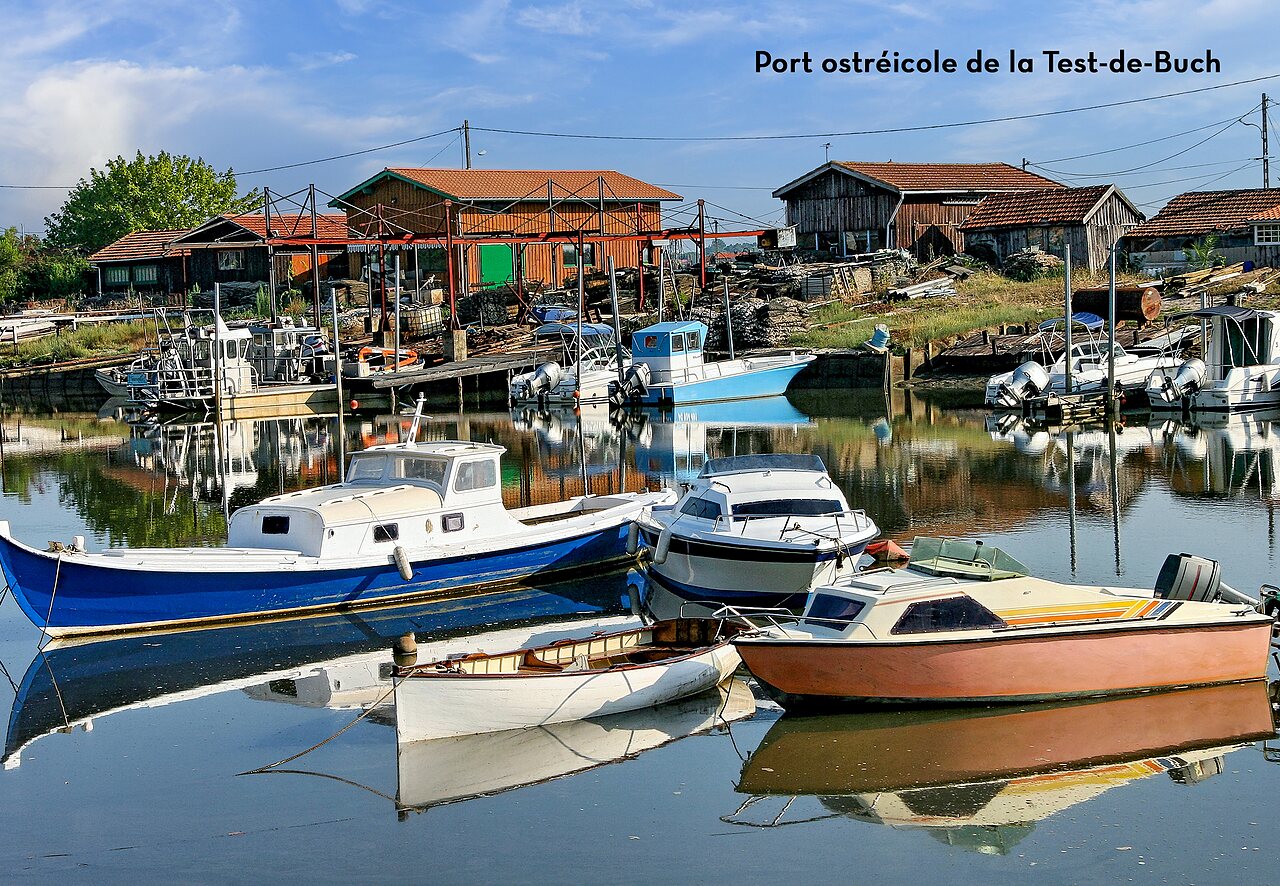 Oyster port of La Teste-de-Buch, authentic place to visit near the campsite.
