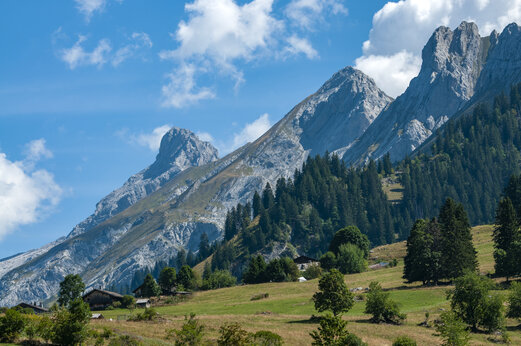 Felsige Berge, Alpenwälder auf dem Campingplatz CAPFUN Plan du Fernuy, LA CLUSAZ.