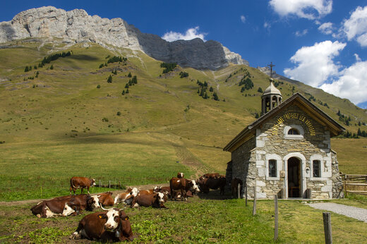 Steinerne Bergkapelle mit Kühen, Alpenlandschaft nahe La Clusaz.