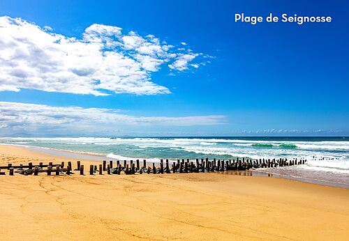 Strand von Seignosse, wunderschöner Sandstrand in Les Landes zu besuchen.