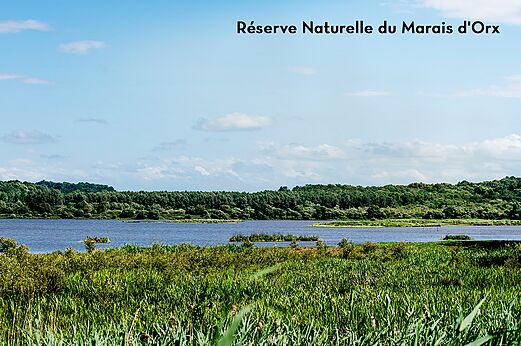 Naturreservat Marais d'Orx, großer Naturraum in den Landes zu entdecken.