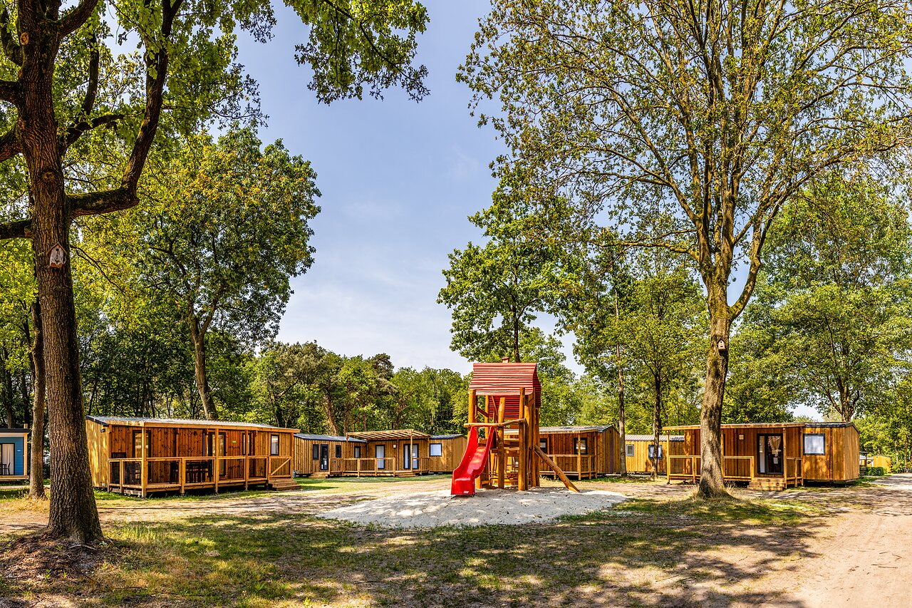 Holz-Mobilheime und Spielplatz mit Rutsche auf dem Campingplatz CAPFUN Ponderosa in Ulicoten.