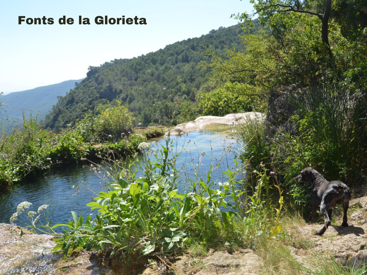 Naturpools Fonts de la Glorieta, Berglandschaft in der N�he von Vilanova de Prades.