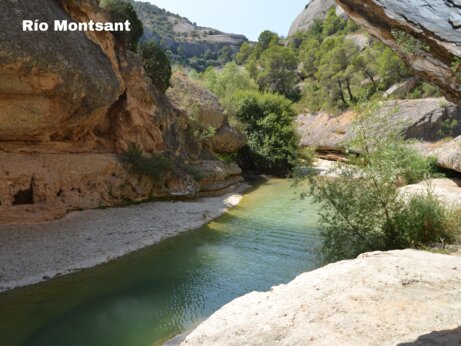 Río Montsant, felsige Naturlandschaft mit Fluss und Bäumen nahe Vilanova de Prades.