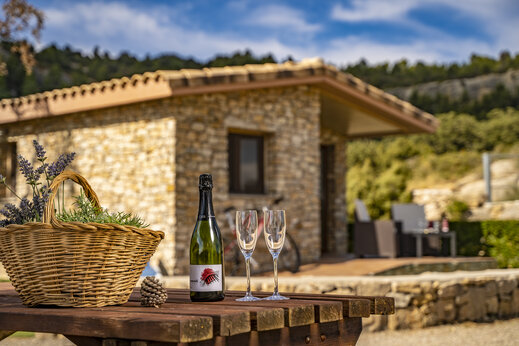 Steinerne Unterkunft, Cava auf dem Campingplatz CAPFUN Serra de Prades in Vilanova de Prades.