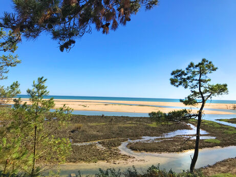 Strand, Flussm�ndung und Meer am CAPFUN Prises, La TRANCHE SUR MER.