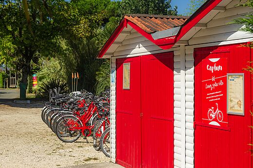 Location de vélos pour adultes et enfants au camping CAPFUN Quatre Vents d'Oléron à St Georges d'Oléron (17).