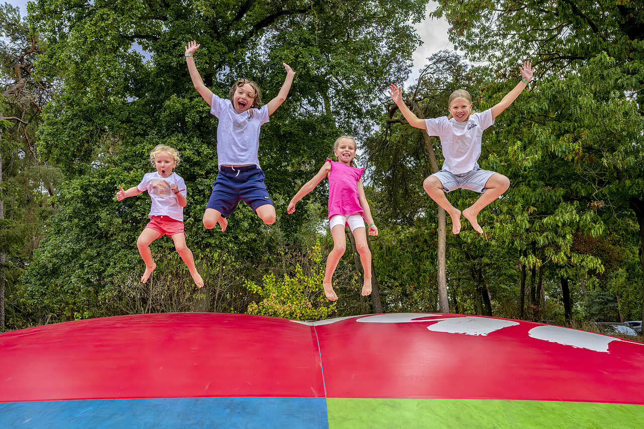 Fr�hliche Kinder springen auf dem riesigen H�pfkissen auf dem Campingplatz CAPFUN Rakelbos in Westelbeers.