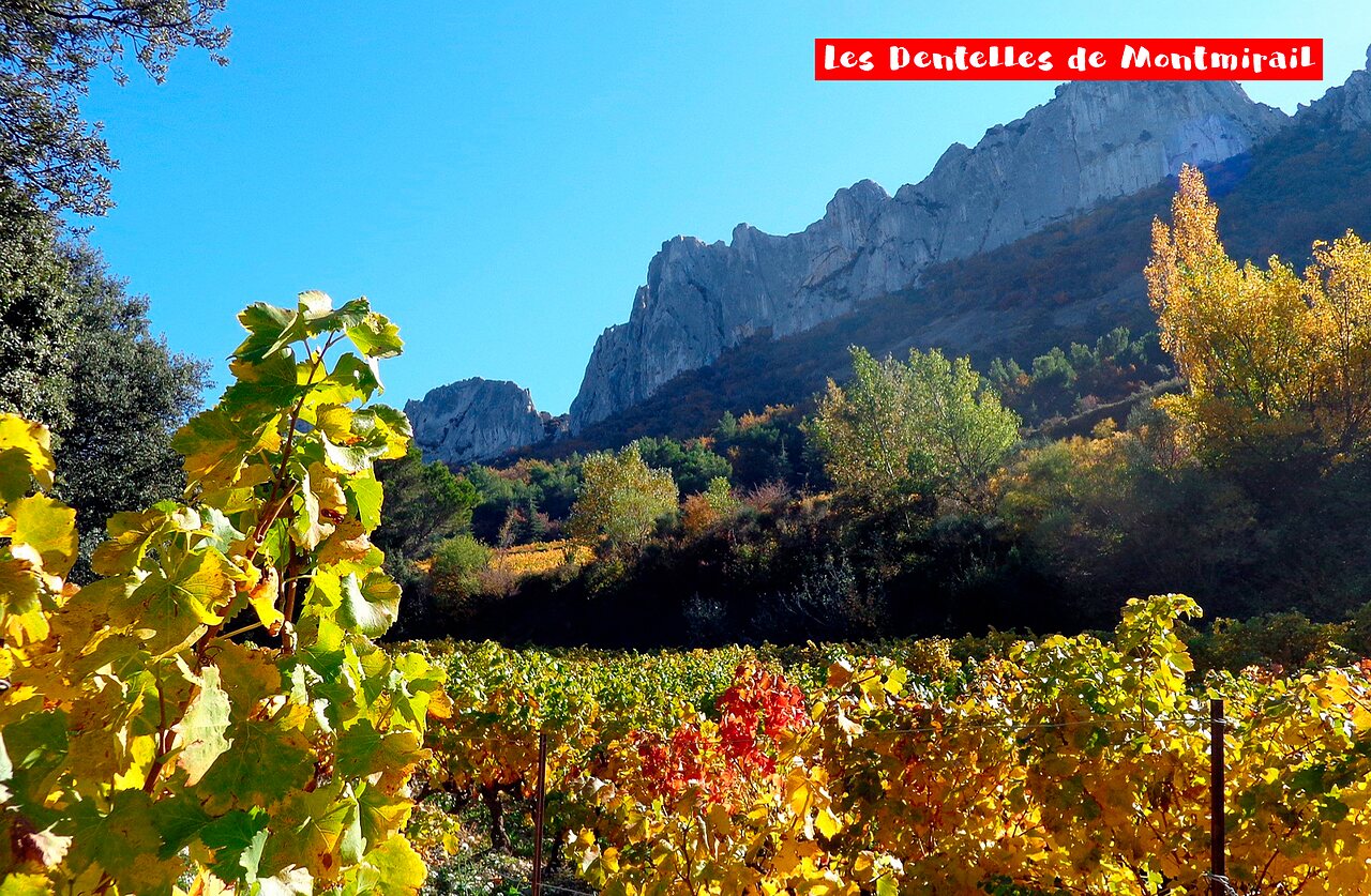 Les Dentelles de Montmirail und farbenfrohe Weinberge, ein Ausflugsziel in der Provence.