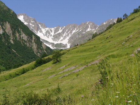 Grüne Berglandschaft mit schneebedeckten Gipfeln am Camping CAPFUN Saint Colomban des Villards.