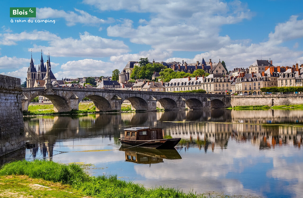 Historische Br�cke �ber die Loire, Schloss Blois, malerische Stadt im Loiretal.
