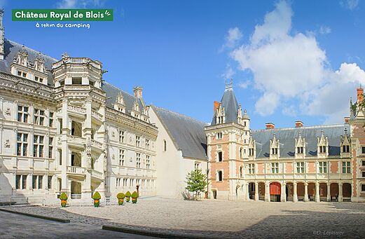 Koninklijk Kasteel van Blois, historisch monument nabij Cheverny, Loirevallei.