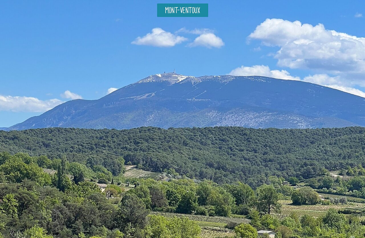 Mont Ventoux mit Schnee, gr�ne Naturlandschaft in der Provence, Frankreich.
