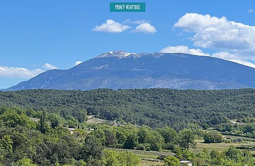 Schneebedeckter Mont Ventoux, provenzalische Landschaft, Ausflugsziel in der Provence.
