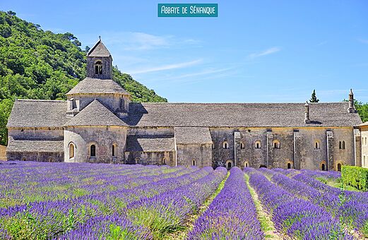 Abtei Sénanque und Lavendelfelder in der Provence, Ausflugsziel.