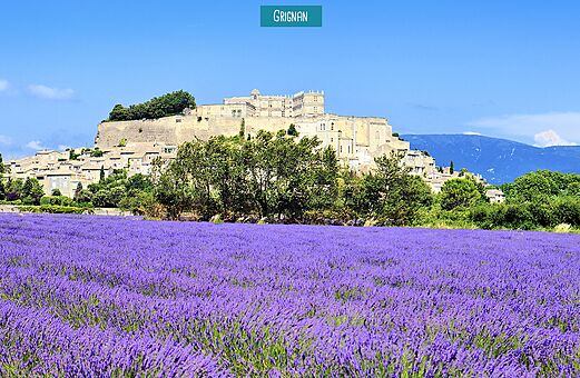 Blühendes Lavendelfeld und Schloss Grignan, Dorf zu besuchen in der Drôme Provençale.