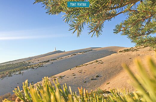 Mont Ventoux, ikonische Berglandschaft der Provence, zu besuchen nahe Saint-Romain-en-Viennois (84).