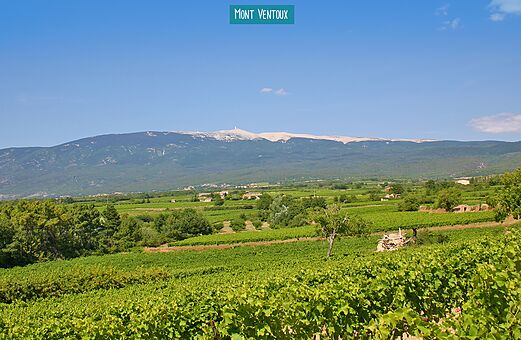 Mont Ventoux, lieu emblématique à visiter près du camping en Provence.
