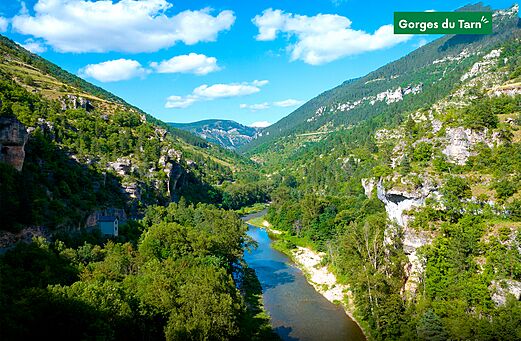 Gorges du Tarn, paysage naturel spectaculaire avec rivi�re et falaises verdoyantes.