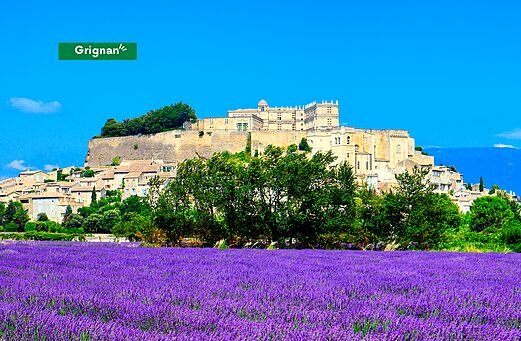 Schloss Grignan und Lavendelfelder in der Provence, ein Ausflugsziel.