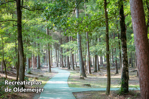 Waldweg führt zum Recreatieplas de Oldemeijer, ein Ausflugsziel nahe Rheeze.