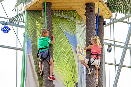 Kinder klettern auf Palmen, Spielaktivität auf Camping CAPFUN het Stoetenslagh in Rheezerveen.
