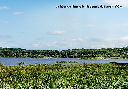 Nationales Naturreservat Marais d'Orx, Ausflugsziel nahe Labenne.
