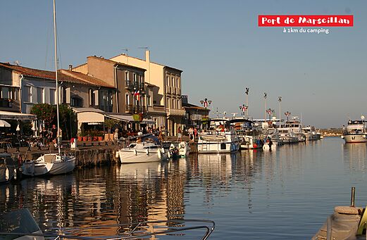 Haven van Marseillan met aangemeerde boten en levendige terrassen, H�rault, Occitanie.
