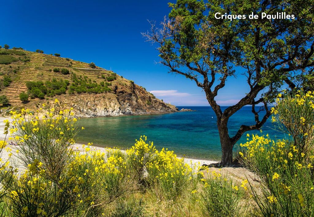 Texas, Holiday Park Languedoc Roussillon - 2