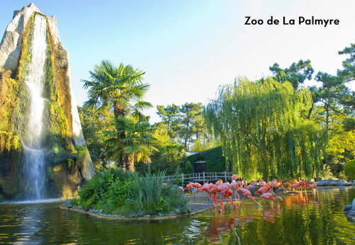 Rosa Flamingos und Wasserfall im Zoo de La Palmyre, Attraktion nahe Royan.
