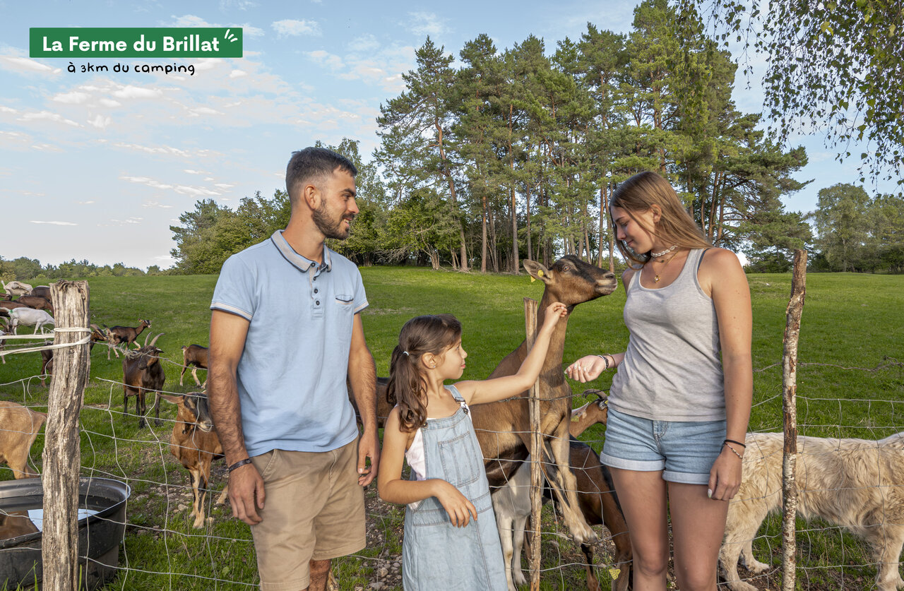 Family feeding goats at La Ferme du Brillat, a place to visit near the campsite.
