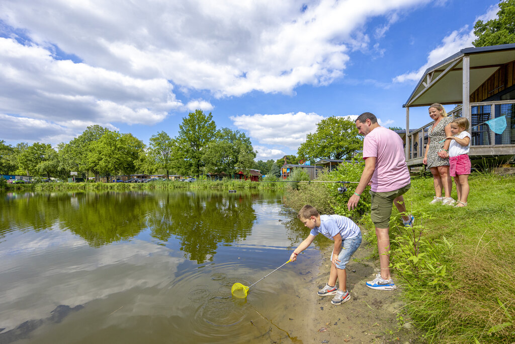 Vlinderloo, Campingplatz Overijssel - 33