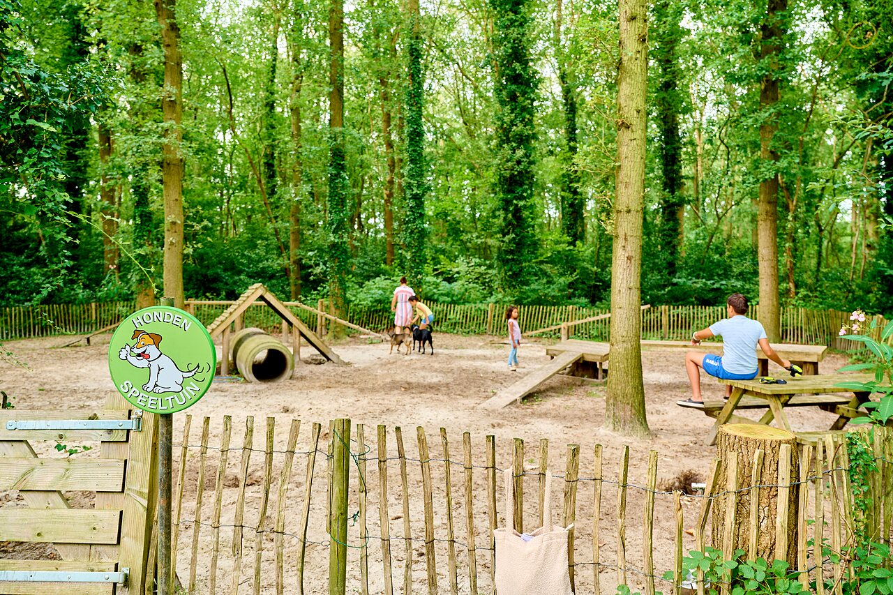 Hondenspeeltuin met behendigheidsuitrusting op camping CAPFUN De Waldsang in Bakkeveen.