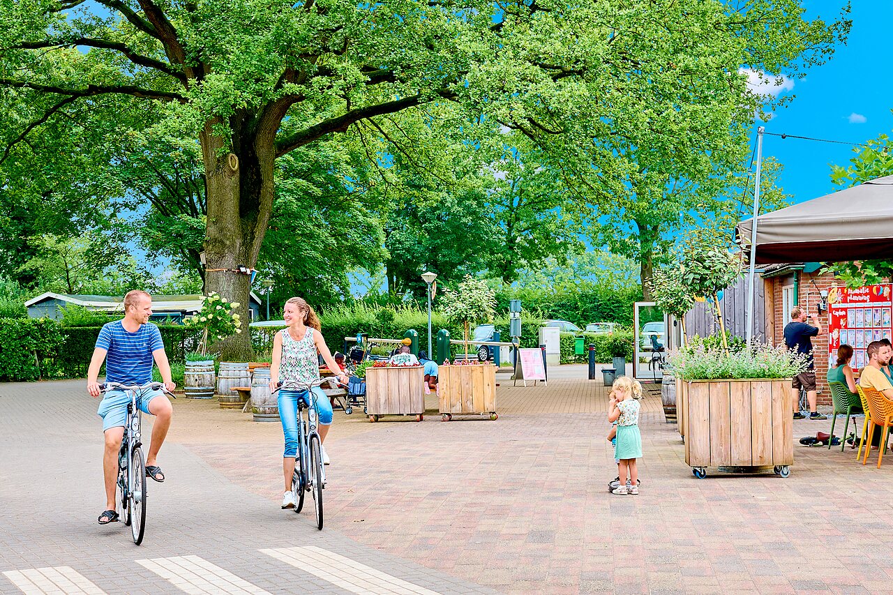 Paar auf Fahrr�dern auf gr�nem Weg, Camping CAPFUN Wieskamp, Winterswijk Henxel.