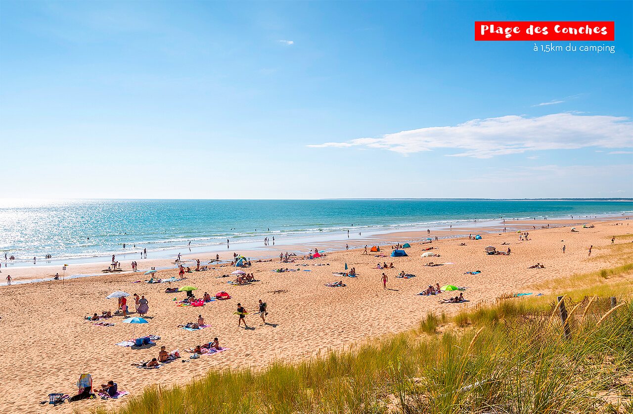 Plage des Conches, feiner Sand, Baden, Camping CAPFUN Zagarella Longeville-sur-Mer (85).