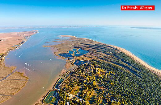 Luftaufnahme der Pointe d'Arçay, Strand und Wald in der Vendée.