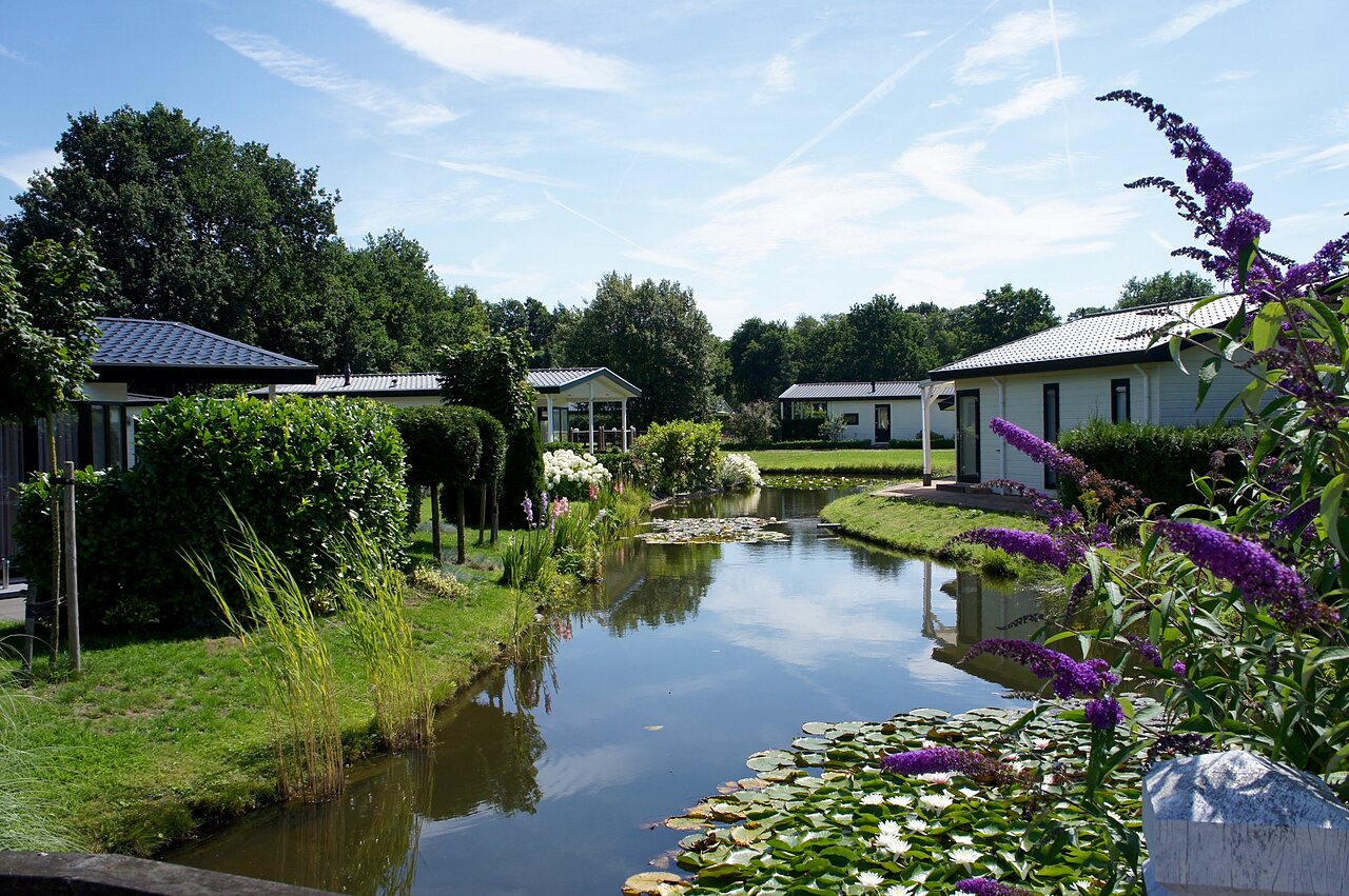 Moderne Mobil-homes am bl�henden Teich, �ppige Natur auf Camping CAPFUN Zeumersehof in Voorthuizen.